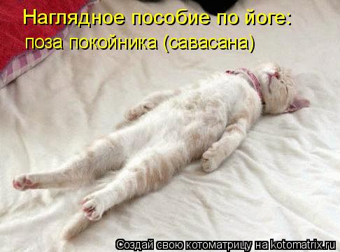 поза покойника (савасана) Наглядное пособие по йоге:... Котоматрица: поза покойника (савасана) Наглядное пособие по йоге: