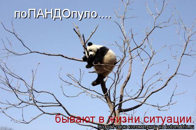 поПАНДОпуло.... бывают в жизни ситуации...... Котоматрица: поПАНДОпуло.... бывают в жизни ситуации...