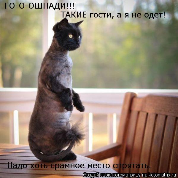ГО-О-ОШПАДИ!!! ТАКИЕ гости, а я не одет! Надо хоть срамное место спрятать.... Котоматрица: ГО-О-ОШПАДИ!!! ТАКИЕ гости, а я не одет! Надо хоть срамное место спрятать.