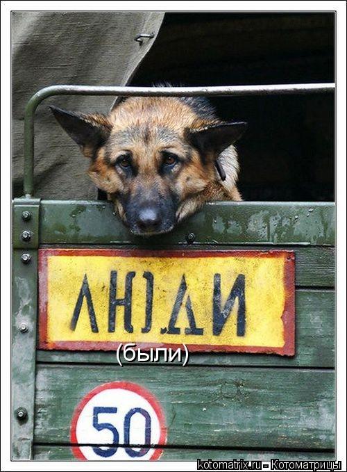 (были)... Котоматрица: (были)