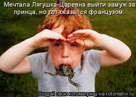 Мечтала Лягушка-Царевна выйти замуж за принца, но тот оказался французом.... Котоматрица: Мечтала Лягушка-Царевна выйти замуж за принца, но тот оказался французом.