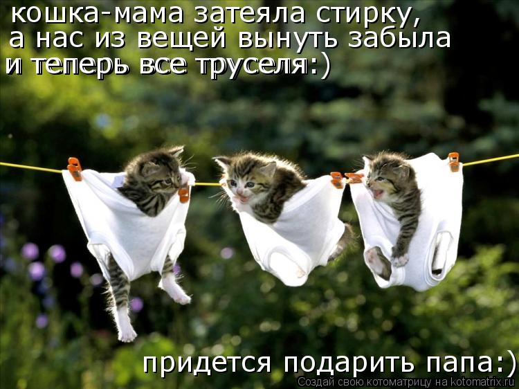 кошка-мама затеяла стирку, а нас из вещей вынуть забыла и теперь все труселя и теперь все труселя:) п... Котоматрица: кошка-мама затеяла стирку, а нас из вещей вынуть забыла и теперь все труселя и теперь все труселя:) придется подарить папа:)
