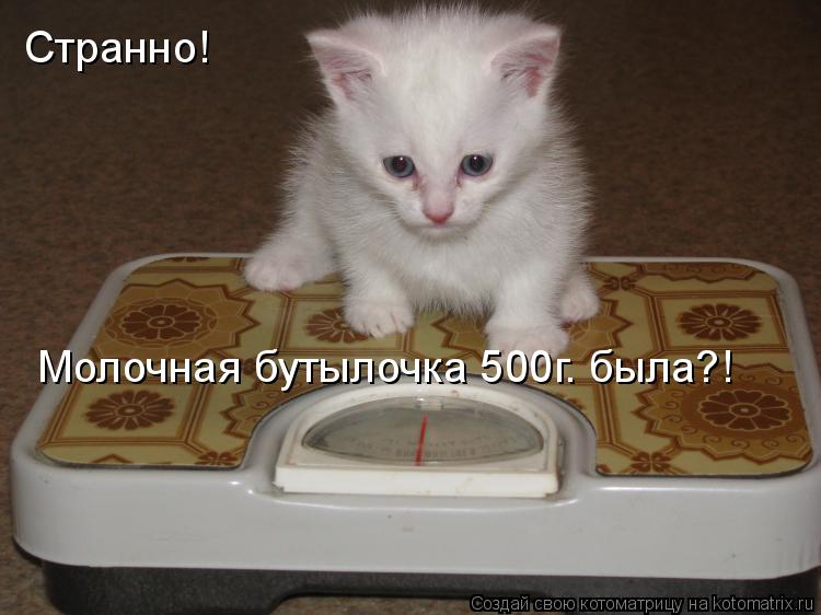 Котоматрица: Странно! Молочная бутылочка 500г. была?!