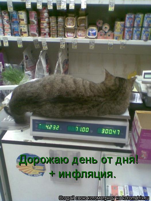 Дорожаю день от дня! + инфляция.... Котоматрица: Дорожаю день от дня! + инфляция.