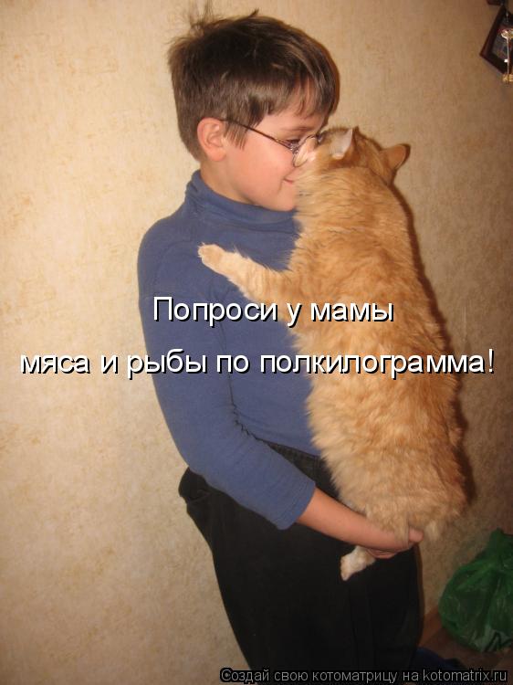 Попроси у мамы мяса и рыбы по полкилограмма!... Котоматрица: Попроси у мамы мяса и рыбы по полкилограмма!