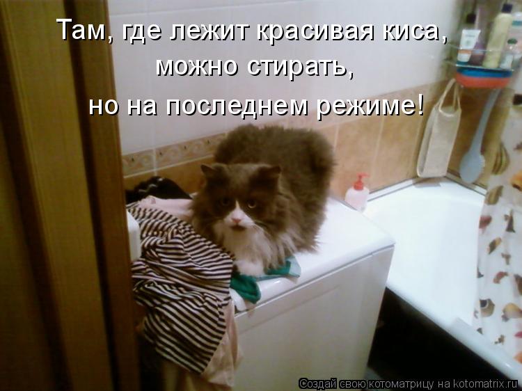 Там, где лежит красивая киса, можно стирать, но на последнем режиме!... Котоматрица: Там, где лежит красивая киса, можно стирать, но на последнем режиме!