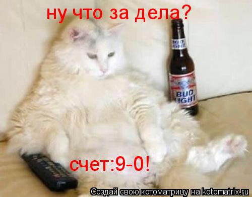 Котоматрица: ну что за дела? счет:9-0!