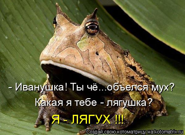 - Иванушка! Ты чё...объелся мух? Какая я тебе - лягушка? Я - ЛЯГУХ !!!... Котоматрица: - Иванушка! Ты чё...объелся мух? Какая я тебе - лягушка? Я - ЛЯГУХ !!!