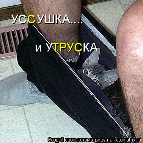 УС УШКА.... С и У КА ТРУС... Котоматрица: УС УШКА.... С и У КА ТРУС