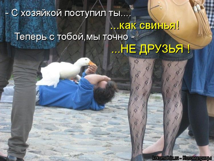 - С хозяйкой поступил ты.... ...как свинья! Теперь с тобой,мы точно - ...НЕ ДРУЗЬЯ !... Котоматрица: - С хозяйкой поступил ты.... ...как свинья! Теперь с тобой,мы точно - ...НЕ ДРУЗЬЯ !