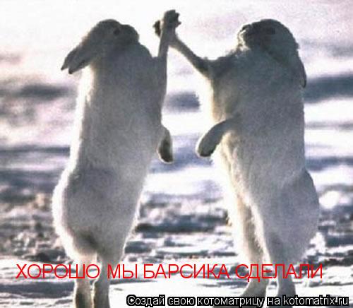 Котоматрица: ХОРОШО МЫ БАРСИКА СДЕЛАЛИ