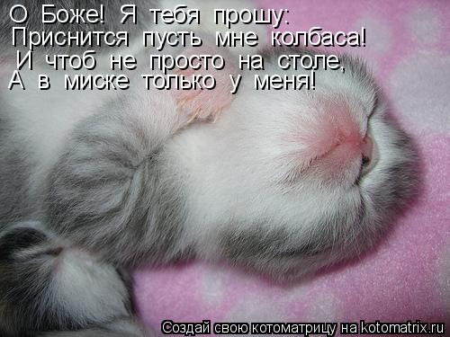 О Боже! Я тебя прошу: Приснится пусть мне колбаса! И чтоб не просто на столе, А в миске... Котоматрица: О Боже! Я тебя прошу: Приснится пусть мне колбаса! И чтоб не просто на столе, А в миске только у меня!