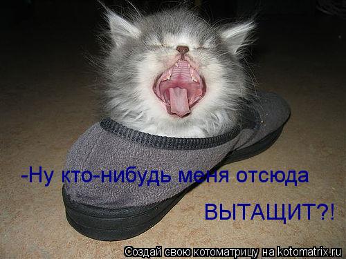 Котоматрица: -Ну кто-нибудь меня отсюда  ВЫТАЩИТ?!