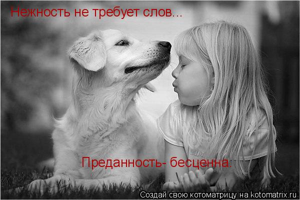 Котоматрица: Нежность не требует слов... Преданность- бесценна.