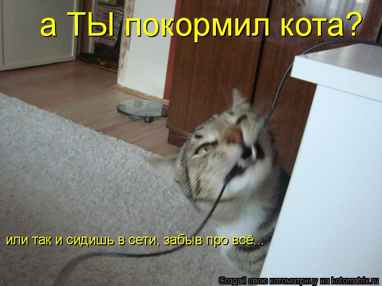а ТЫ покормил кота? или так и сидишь в сети, забыв про всё...... Котоматрица: а ТЫ покормил кота? или так и сидишь в сети, забыв про всё...