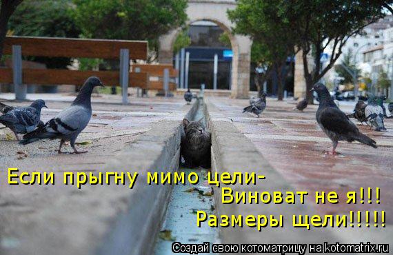 Если прыгну мимо цели- Виноват не я!!! Размеры щели!!!!!... Котоматрица: Если прыгну мимо цели- Виноват не я!!! Размеры щели!!!!!