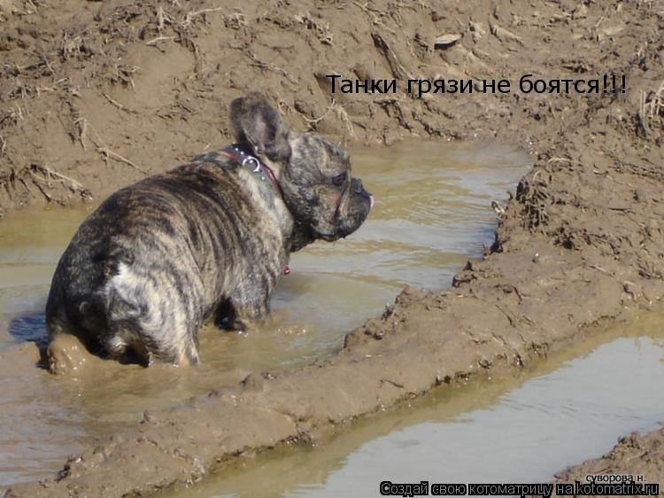 Танки грязи не боятся!!!... Котоматрица: Танки грязи не боятся!!!