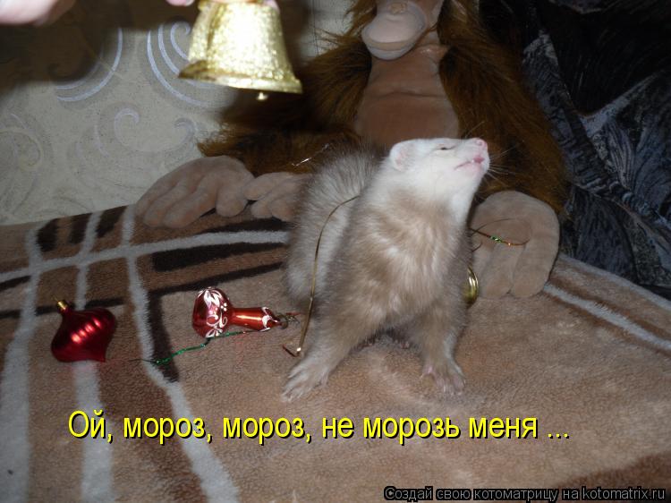 Ой, мороз, мороз, не морозь меня ...... Котоматрица: Ой, мороз, мороз, не морозь меня ...