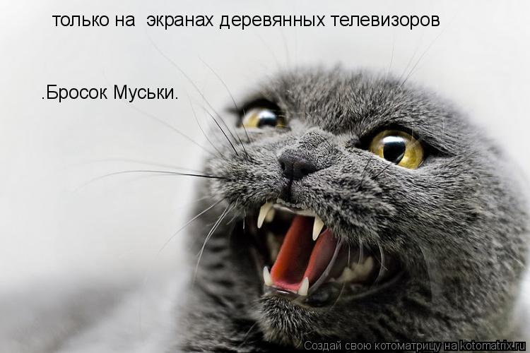 только на экранах деревянных телевизоров .Бросок Муськи.... Котоматрица: только на экранах деревянных телевизоров .Бросок Муськи.