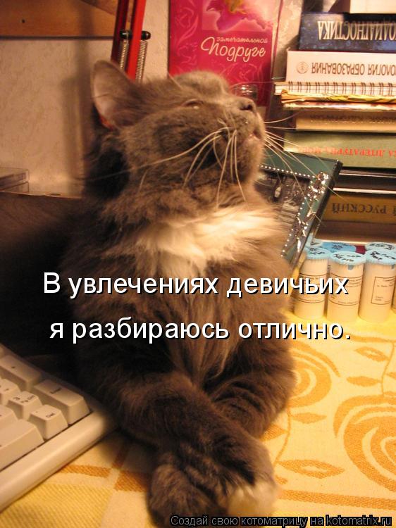 В увлечениях девичьих я разбираюсь отлично.... Котоматрица: В увлечениях девичьих я разбираюсь отлично.