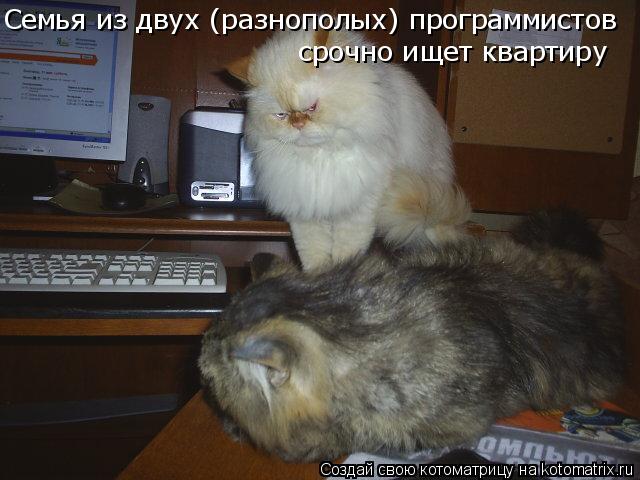 Семья из двух (разнополых) программистов срочно ищет квартиру... Котоматрица: Семья из двух (разнополых) программистов срочно ищет квартиру