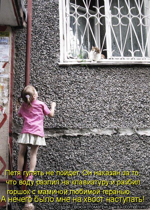 Петя гулять не пойдет. Он наказан за то, что воду разлил на клавиатуру и разбил горшок с маминой люб... Котоматрица: Петя гулять не пойдет. Он наказан за то, что воду разлил на клавиатуру и разбил горшок с маминой любимой геранью. А нечего было мне на хвост