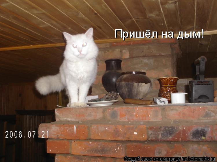 Пришёл на дым!... Котоматрица: Пришёл на дым!