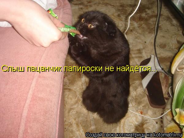 Слыш пацанчик папироски не найдётся...... Котоматрица: Слыш пацанчик папироски не найдётся...
