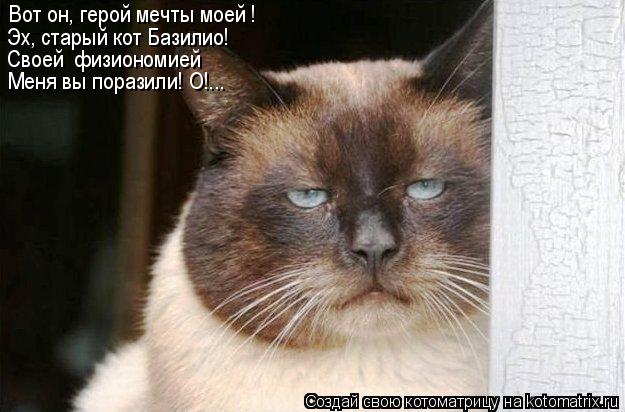 Вот он, герой мечты моей ! Эх, старый кот Базилио! Своей физиономией Меня вы поразили! О!...... Котоматрица: Вот он, герой мечты моей ! Эх, старый кот Базилио! Своей физиономией Меня вы поразили! О!...
