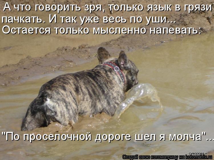 А что говорить зря, только язык в грязи Остается только мысленно напевать: "По проселочной дороге шел... Котоматрица: А что говорить зря, только язык в грязи Остается только мысленно напевать: "По проселочной дороге шел я молча"…... пачкать. И так уже весь по