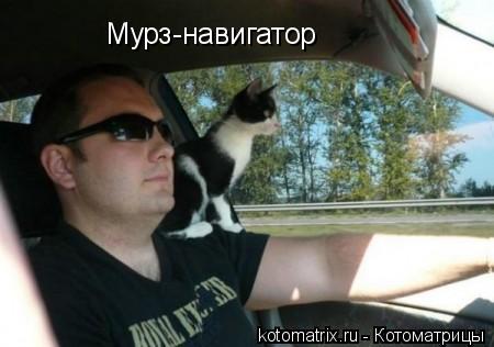 Мурз-навигатор... Котоматрица: Мурз-навигатор