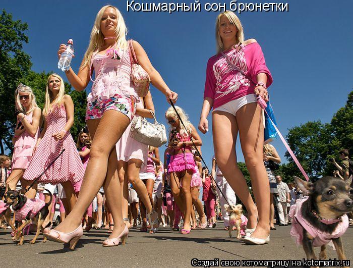 Кошмарный сон брюнетки... Котоматрица: Кошмарный сон брюнетки