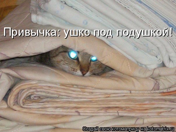 Привычка: ушко под подушкой!... Котоматрица: Привычка: ушко под подушкой!