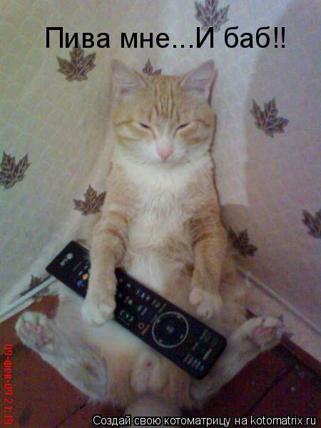 Пива мне...И баб!!... Котоматрица: Пива мне...И баб!!
