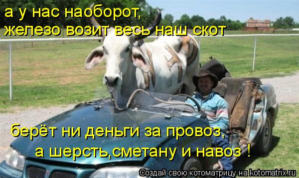 а у нас наоборот, железо возит весь наш скот берёт ни деньги за провоз, а шерсть,сметану и навоз !... Котоматрица: а у нас наоборот, железо возит весь наш скот берёт ни деньги за провоз, а шерсть,сметану и навоз !