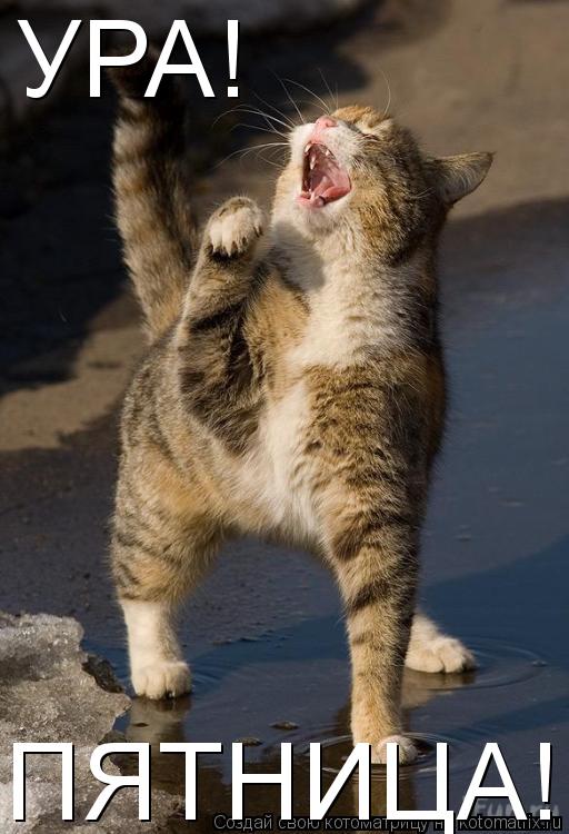 УРА! ПЯТНИЦА!... Котоматрица: УРА! ПЯТНИЦА!