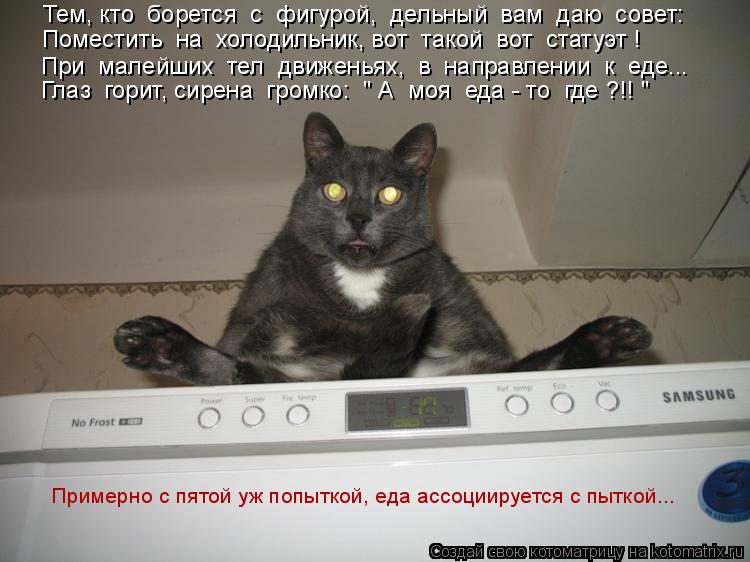 Тем, кто борется с фигурой, дельный вам даю совет: Глаз горит, сирена громко: " А моя еда... Котоматрица: Тем, кто борется с фигурой, дельный вам даю совет: Глаз горит, сирена громко: " А моя еда - то где ?!! " При малейших тел движеньях,