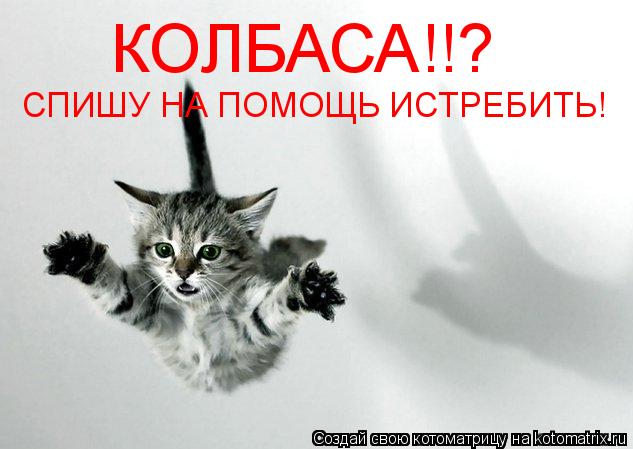 КОЛБАСА!!? СПИШУ НА ПОМОЩЬ ИСТРЕБИТЬ!... Котоматрица: КОЛБАСА!!? СПИШУ НА ПОМОЩЬ ИСТРЕБИТЬ!