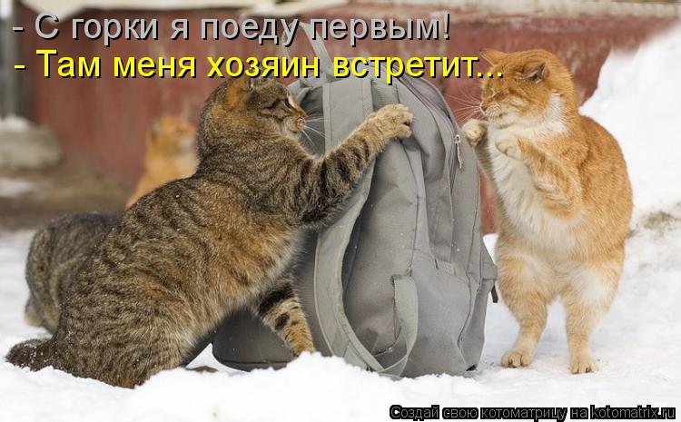 Котоматрица: - С горки я поеду первым! - Там меня хозяин встретит...