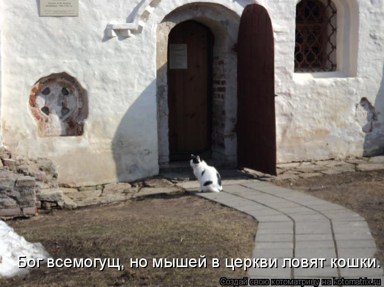 Котоматрица: Бог всемогущ, но мышей в церкви ловят кошки.