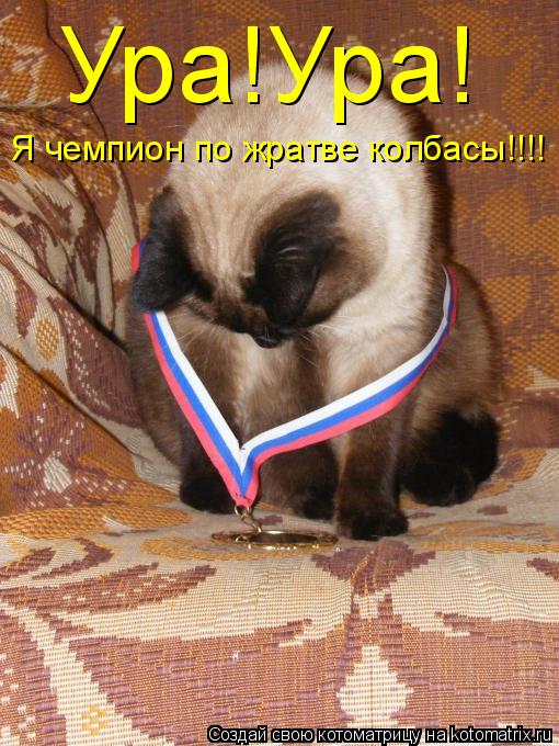 Котоматрица: Ура!Ура! Я чемпион по жратве колбасы!!!!