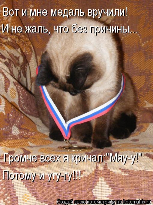 Котоматрица: Вот и мне медаль вручили! И не жаль, что без причины... Громче всех я кричал:"Мяу-у!" Потому и угу-гу!!!