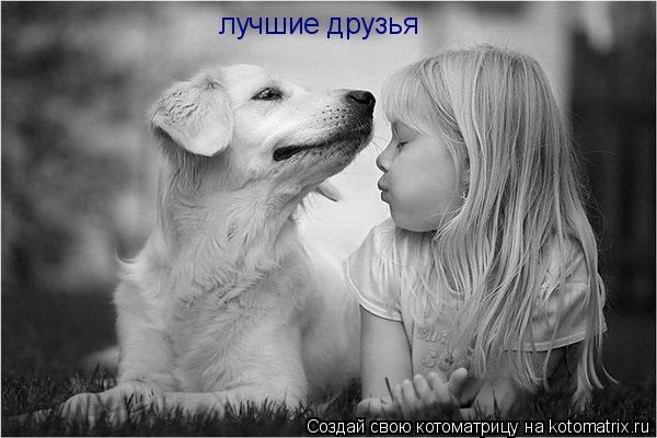 Котоматрица: лучшие друзья