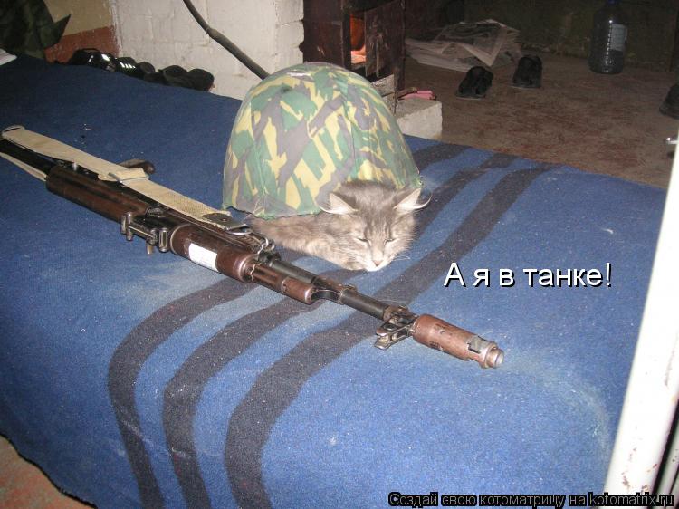 Котоматрица: А я в танке!