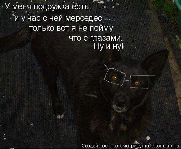 Котоматрица: У меня подружка есть,  и у нас с ней мерседес только вот я не пойму  что с глазами. Ну и ну!