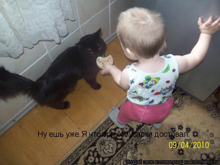 Котоматрица: Ну ешь уже.Я что зря с мусарки достовал.