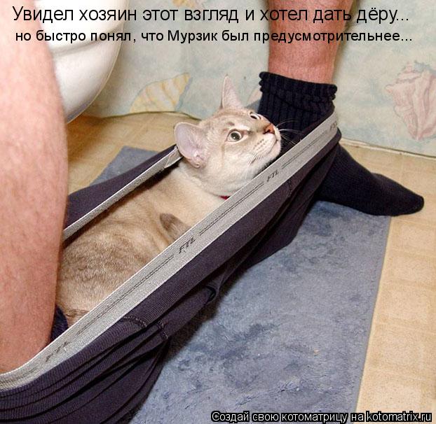 Котоматрица: Увидел хозяин этот взгляд и хотел дать дёру... но быстро понял, что Мурзик был предусмотрительнее...