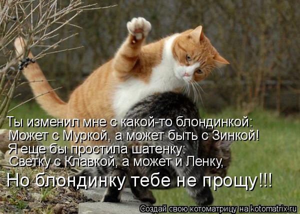Ты изменил мне с какой-то блондинкой: Может с Муркой, а может быть с Зинкой! Я еще бы простила шатенк... Котоматрица: Ты изменил мне с какой-то блондинкой: Может с Муркой, а может быть с Зинкой! Я еще бы простила шатенку: Светку с Клавкой, а может и Ленку, Но бл