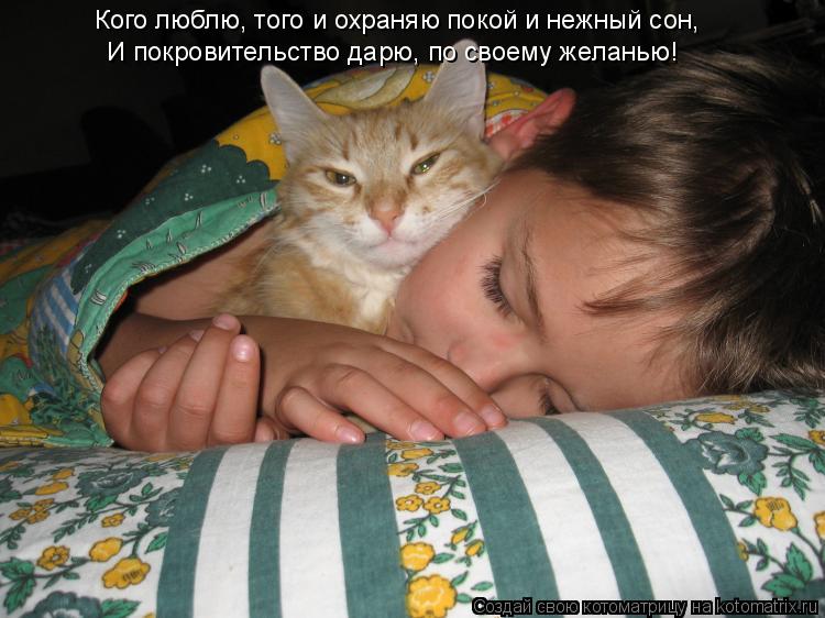 Котоматрица: Кого люблю, того и охраняю покой и нежный сон, И покровительство дарю, по своему желанью!