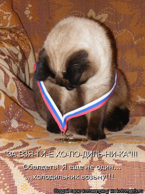 "ЗА ВЗЯ-ТИ-Е ХО-ЛО-ДИЛЬ-НИ-КА"!!! Обалдеть! Я еще не один... ...холодильник возьму!!!... Котоматрица: "ЗА ВЗЯ-ТИ-Е ХО-ЛО-ДИЛЬ-НИ-КА"!!! Обалдеть! Я еще не один... ...холодильник возьму!!!
